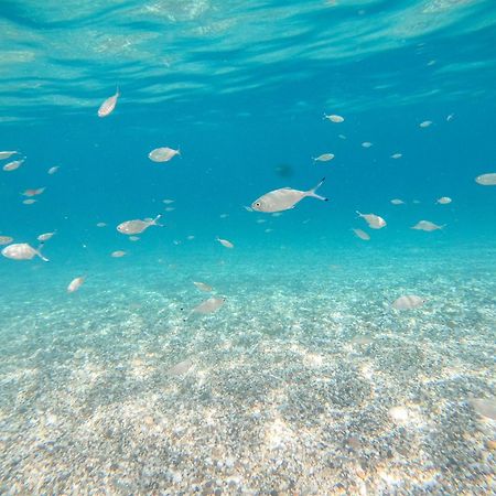 Complejo Turistico Los Bayiyos Agua Amarga  Eksteriør billede