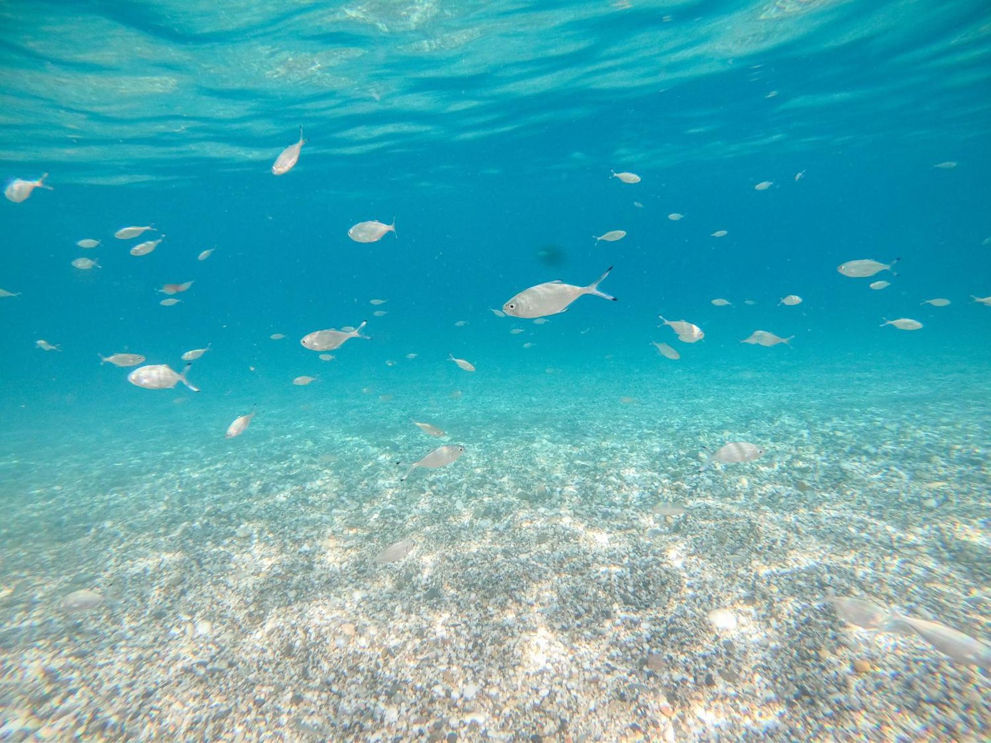 Complejo Turistico Los Bayiyos Agua Amarga  Eksteriør billede
