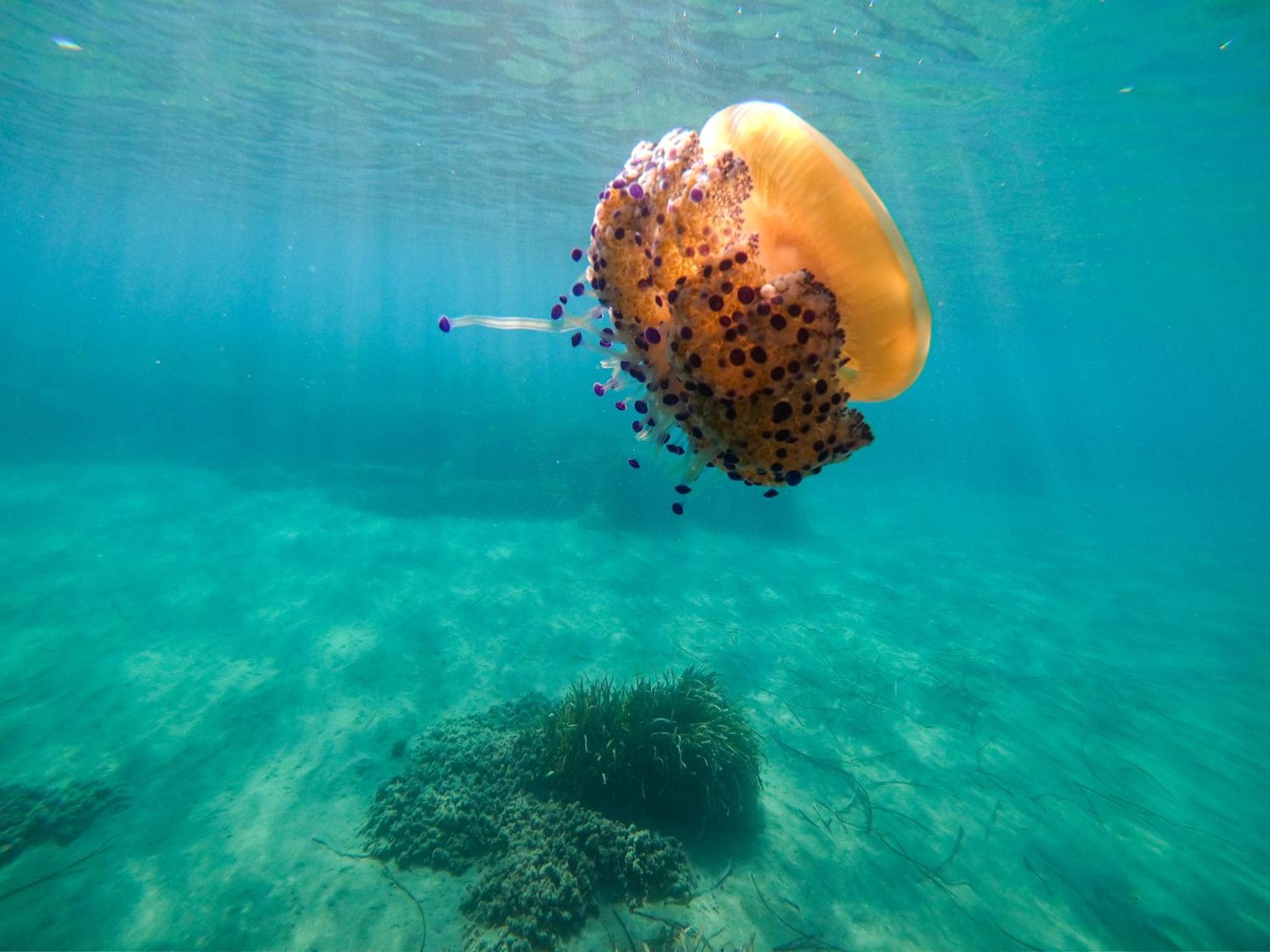 Complejo Turistico Los Bayiyos Agua Amarga  Eksteriør billede